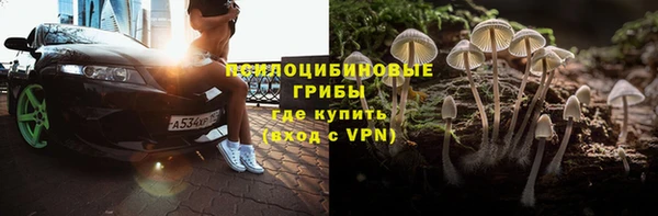 spice Алексеевка