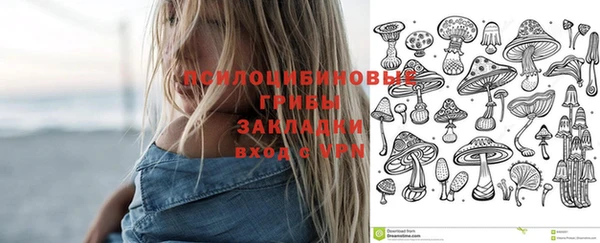 spice Алексеевка