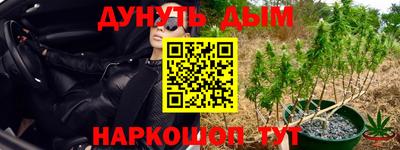 прущие грибы Нягань