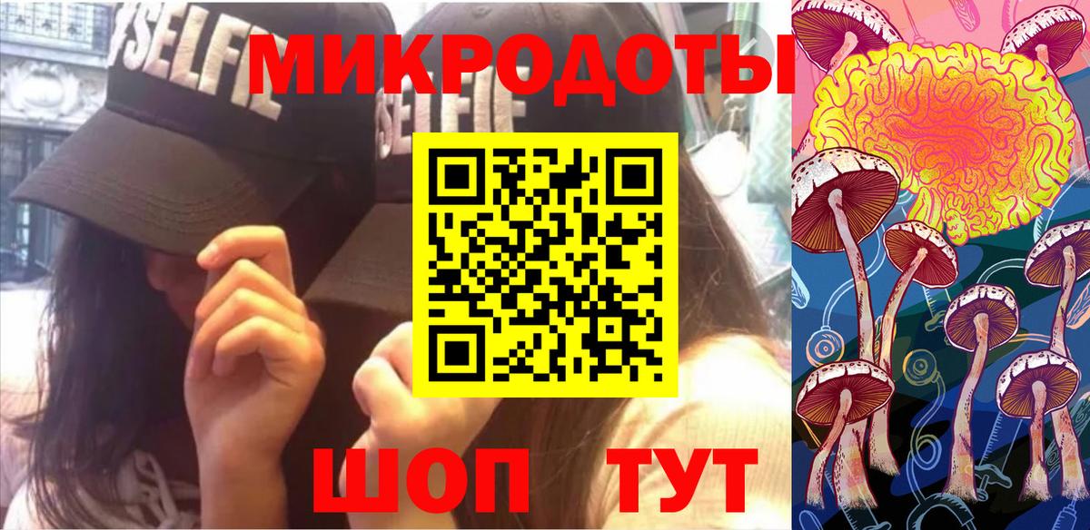 Галлюциногенные грибы Psilocybine cubensis Урай